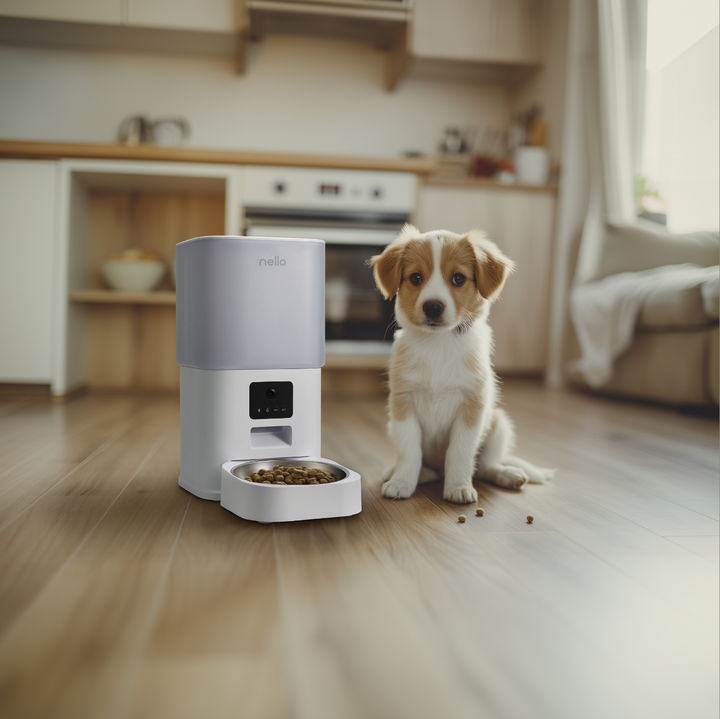 쿠쿠전자 넬로, 스마트 홈 카메라 펫급식기 출시.(사진=쿠쿠전자 제공) *재판매 및 DB 금지 [ 사진 = 뉴시스 ]