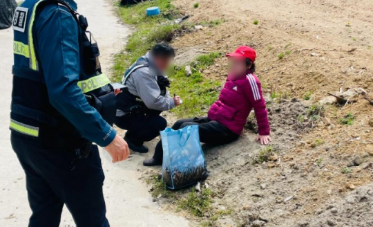 10년 넘게 두릅을 싹쓸이한 '금반지 5개' 여성 덜미 [ 온라인 커뮤니티 ]