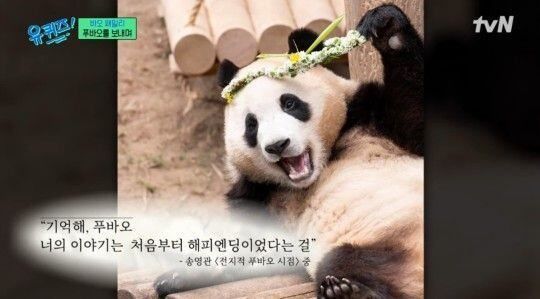 영화 주제는 푸바오와의 이별을 준비하고 겪는 과정이 담긴 바오 가족의 이야기인 것으로 전해졌다 (사진=tvN '유 퀴즈 온 더 블럭' 갈무리) *재판매 및 DB 금지 [ 사진 = 뉴시스 ]