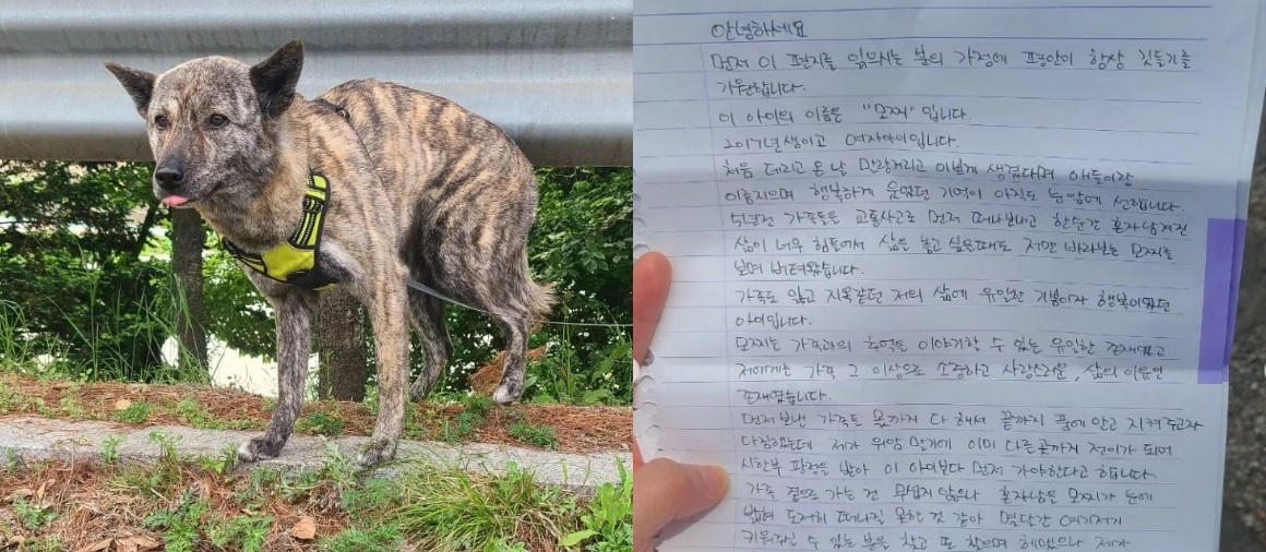 '가족 잃은 후 유일한 기쁨이자 행복이었던 아이... 꼭 행복하길' [ SNS 갈무리 ]