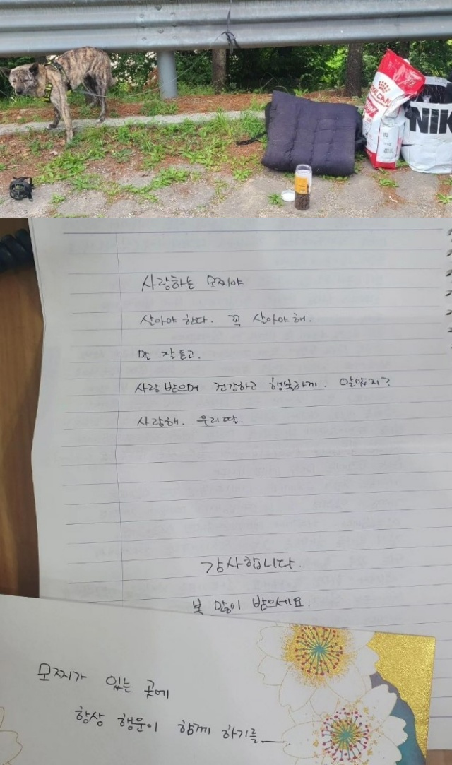 '가족 잃은 후 유일한 기쁨이자 행복이었던 아이... 꼭 행복하길' [ SNS 갈무리 ]