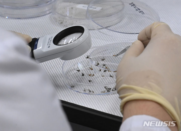 이해를 돕기 위한 사진으로 본문과 관계 없음 *재판매 및 DB 금지 / 사진 = 뉴시스