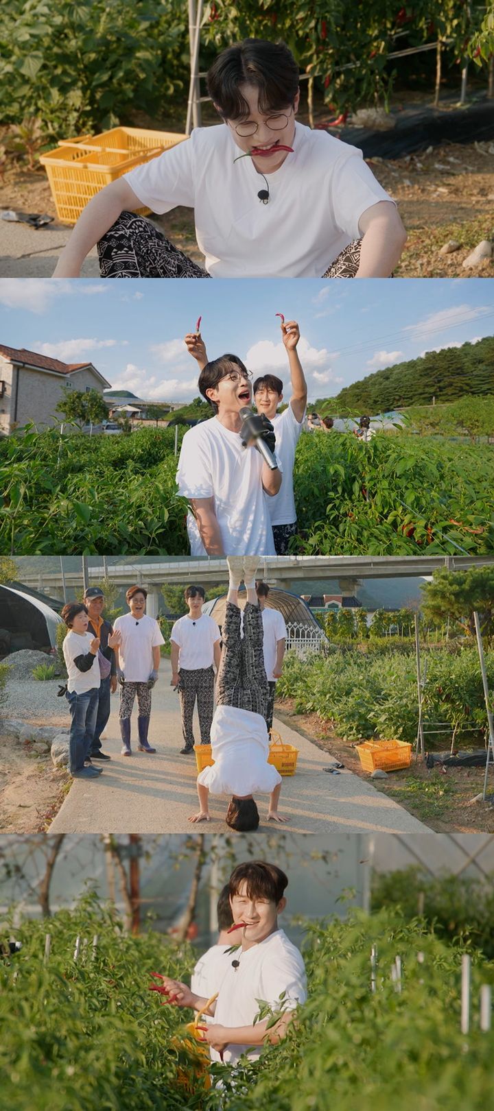 TV조선 예능물 '트랄랄라 유랑단'이 25일 오후 10시 방송된다. (사진=TV조선 '트랄랄라 유랑단' 제공) 2024.10.25.  *재판매 및 DB 금지 / 사진 = 뉴시스