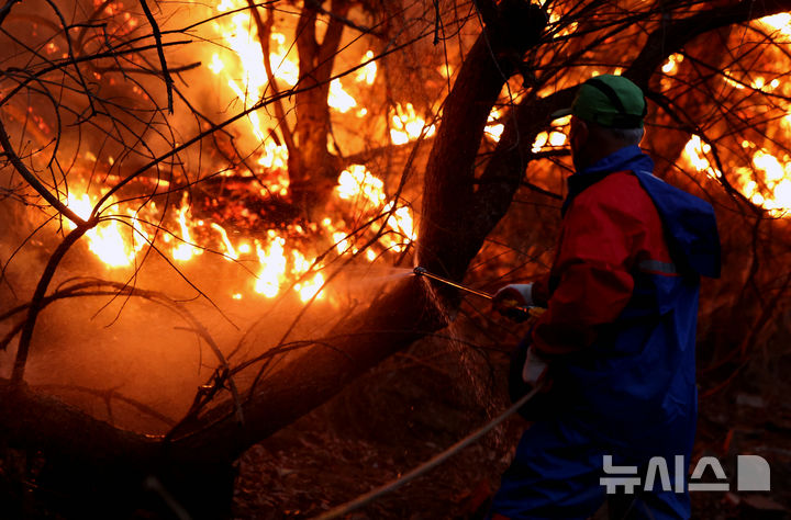 경북 의성군 산불 발생 이틀째인 23일 오후 안평면 신안리 한 야산에서 주민이 불을 끄고 있다. 2025.03.23. / 사진 = 뉴시스