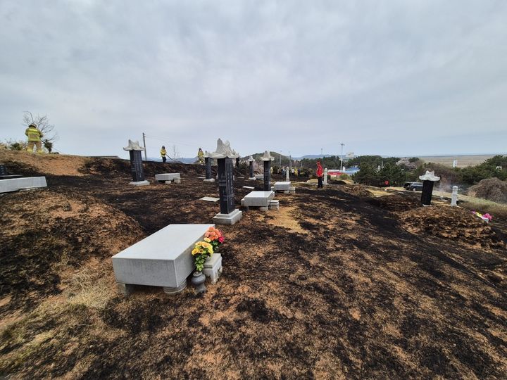 12일 오전 10시25분께 충남 보령시 주교면 주교리의 한 가족묘지에서 불이 나 47분만에 꺼졌다. (사진=보령소방서 제공) 2025.04.12.  *재판매 및 DB 금지 / 사진 =뉴시스