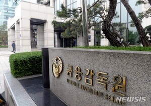 금감원, 도우인시스 IPO 제동…주주 간 계약 미기재