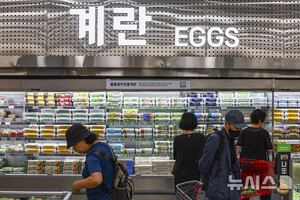 에그플레이션·金배추 막아라…농식품부, 수급TF 유통 구조 개혁(종합)