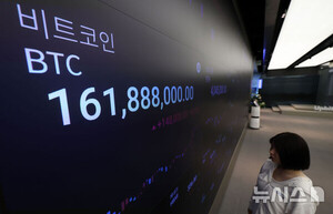 Ʈ, ȣȭ    117000޷ Ʒ
