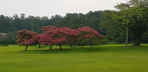  ް  , 16Ϻ 簳