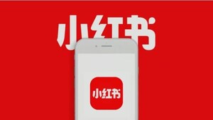 중국판 인스타 샤오훙수, 전자결제 라이센스 취득