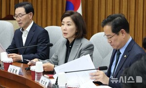 국힘 지선기획단 