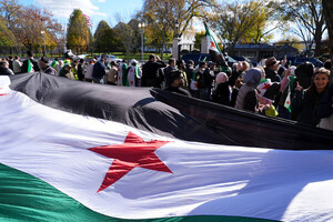 내전 때에 안전했던 시리아 국립박물관서 로마 조각상들 도난