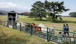 제주, 흐리고 일교차 커…낮 최고 19~22도