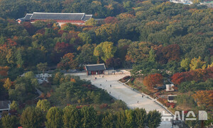 경실련, 종묘 앞 초고층 개발 허용에 