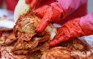 4인 김장값 전년比 5.6저렴한 20.1만원…